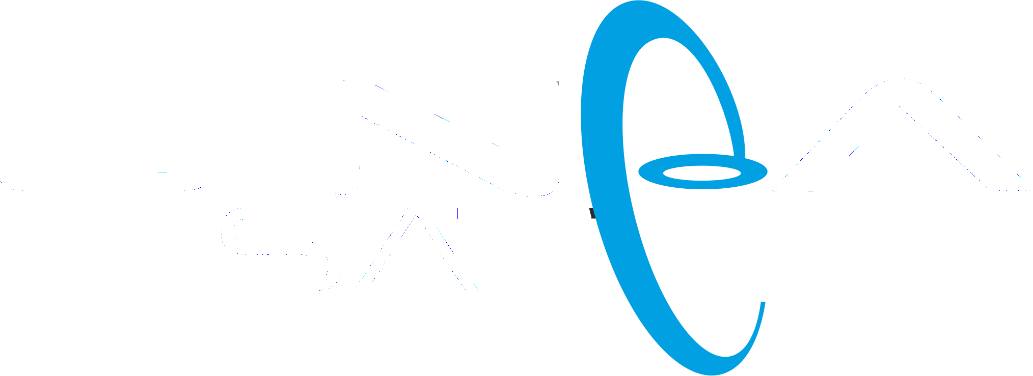 Lineasat S.N.C. Logo - Assistenza smartphone, tablet e PC a Ponte San Pietro (BG)